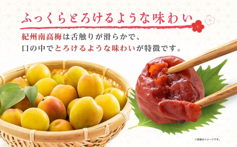 りんごはちみつ梅 200g×3パック 梅干し 3L～4Lサイズ 南高梅 紀州 うめぼし りんご酢 てんさい糖  甜菜糖 リンゴ りんご 紀州梅 梅 ウメ 国産 備蓄 長期保存 健康 減塩 グルメ お取り寄せ ギフト たいよう庵 送料無料 北海道 伊達