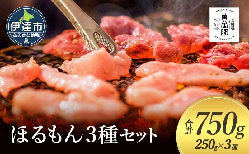 北海道 伊達 黄金豚 ほるもん 3種 セット 各250g×1パック（計750g） 焼肉 BBQ お花見 キャンプ お肉 豚肉 真空 ホルモン