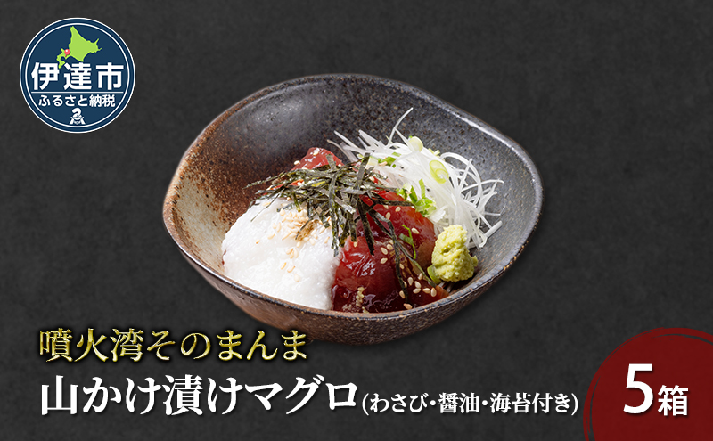 噴火湾そのまんま 山かけ漬けマグロ(わさび・醤油・海苔付き)5箱 旬菜一鮮 だて大和屋 厳選 魚介 海鮮 刺身 刺し身 小分け 新鮮 魚介類 魚貝類 加工食品 贈答 ギフト 贈り物 ご褒美