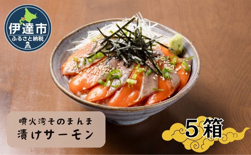 噴火湾そのまんま 漬けサーモン(わさび・醤油・海苔付き)5箱 旬菜一鮮 だて大和屋 厳選 魚介 海鮮 刺身 刺し身 小分け 新鮮 魚介類 魚貝類 加工食品 贈答 ギフト 贈り物 ご褒美