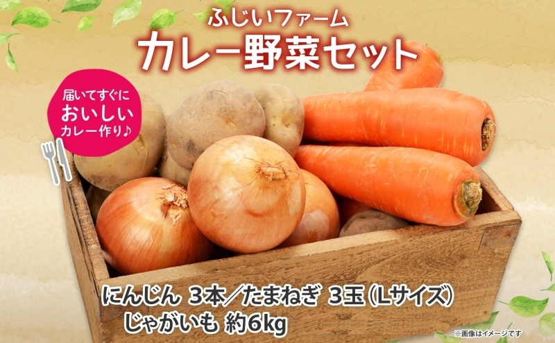 北海道産 カレー 野菜 セット じゃがいも とうや 北あかり 玉ねぎ 人参 ジャガイモ 馬鈴薯 ポテト 玉葱 タマネギ ニンジン 先行受付 産地直送 野菜 農作物 ふじいファーム  送料無料