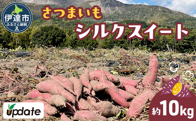 北海道 伊達 さつまいも シルクスイート 10kg 熟成 高糖度 サツマイモ 芋 甘い スイートヤバ芋 産地直送