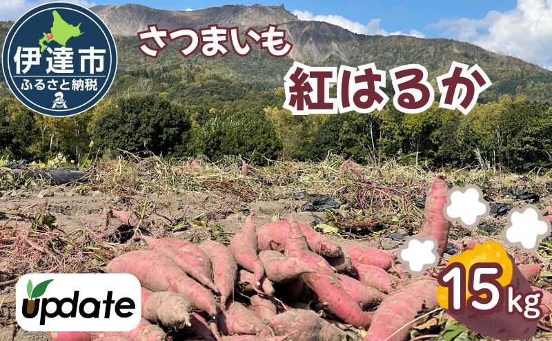 北海道 伊達 さつまいも 紅はるか 15kg 熟成 高糖度 サツマイモ 芋 甘い スイートヤバ芋 産地直送