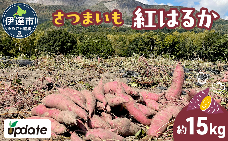 北海道 伊達 さつまいも 紅はるか 15kg 熟成 高糖度 サツマイモ 芋 甘い スイートヤバ芋 産地直送