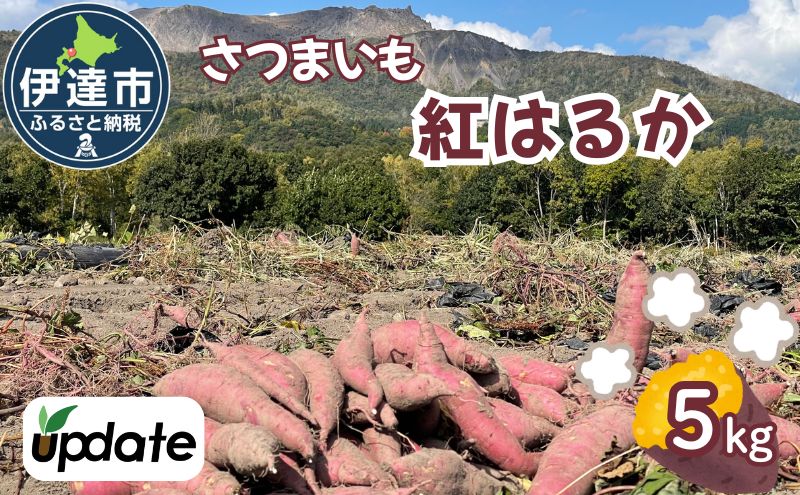 北海道 伊達 さつまいも 紅はるか 5kg 熟成 高糖度 サツマイモ 芋 甘い スイートヤバ芋 産地直送