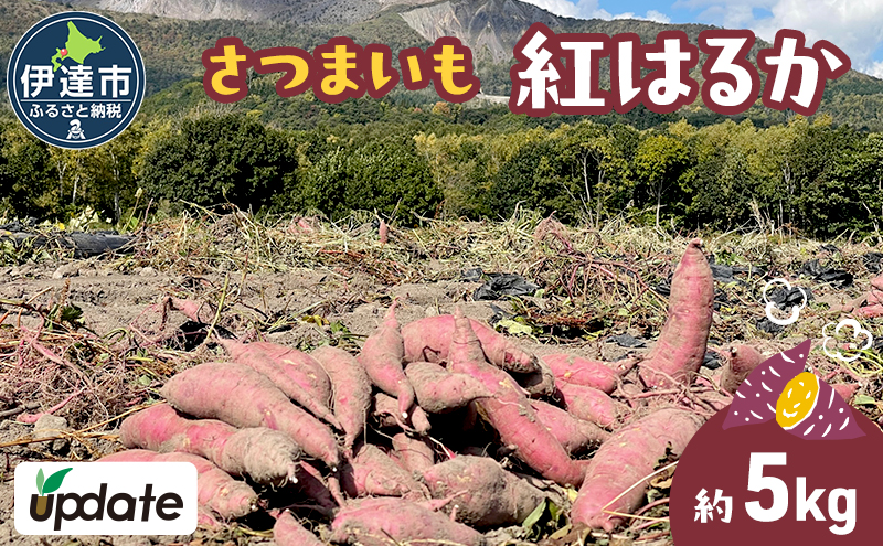 北海道 伊達 さつまいも 紅はるか 5kg 熟成 高糖度 サツマイモ 芋 甘い スイートヤバ芋 産地直送