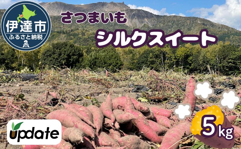 北海道 伊達 さつまいも シルクスイート 5kg 熟成 高糖度 サツマイモ 芋 甘い スイートヤバ芋 産地直送