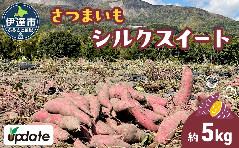 北海道 伊達 さつまいも シルクスイート 5kg 熟成 高糖度 サツマイモ 芋 甘い スイートヤバ芋 産地直送