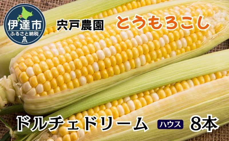 とうもろこし ドルチェドリーム L～LLサイズ 8本 ハウス 栽培 バイカラー スイートコーン 北海道 伊達市 生産者 直送 新鮮 宍戸農園 【オンライン決済限定】