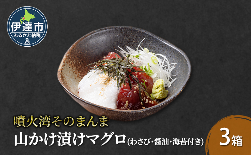 噴火湾そのまんま 山かけ漬けマグロ(わさび・醤油・海苔付き)3箱 旬菜一鮮 だて大和屋 厳選 魚介 海鮮 刺身 刺し身 小分け 新鮮 魚介類 魚貝類 加工食品 贈答 ギフト 贈り物 ご褒美