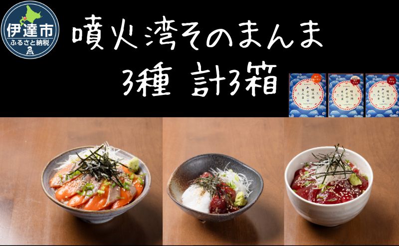 噴火湾そのまんま ギフトセット(3種各1箱)　旬菜一鮮 だて大和屋 厳選 魚介 海鮮 刺身 刺し身 小分け 新鮮 魚介類 魚貝類 加工食品 贈答 ギフト 贈り物 ご褒美