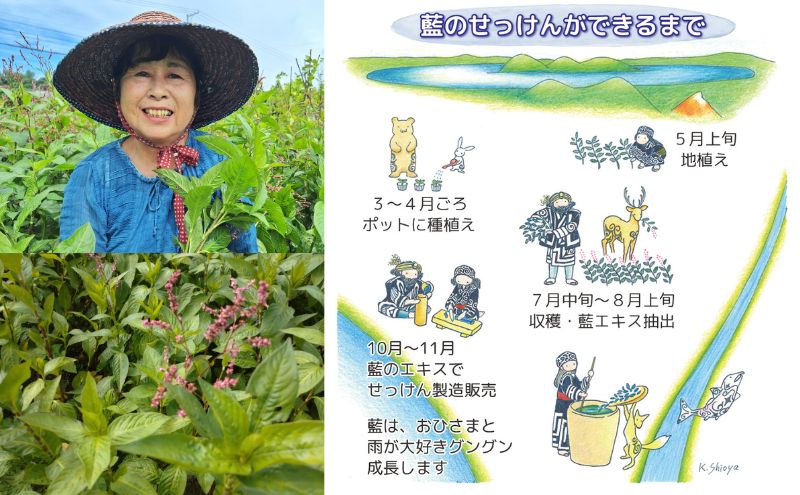 藍の洗顔 せっけん しっとり タイプ  大 55g ラベンダー 精油 ブレンド