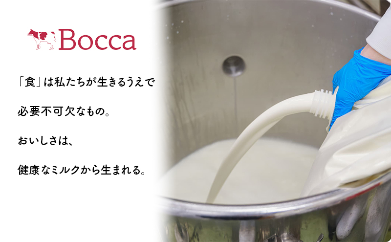 北海道 牧家 Bocca ヨーグルト 500g 3個 計1.5kg 生乳 ミルク 練乳 濃厚 デザート スイーツ おやつ 乳製品 冷蔵 