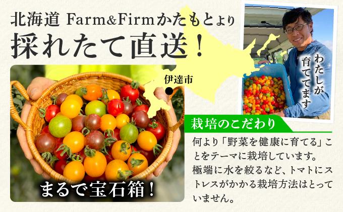 ＜先行予約＞カラフルミニトマトセット1.5kg【ffk-002】北海道 伊達市 野菜 新鮮 ふるさと納税 送料無料