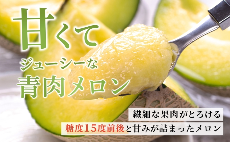 北海道産 有珠メロン 2玉 セット 青肉 Lサイズ 1.6kg以上×2玉 ツル付き グリーンメロン 果物 めろん フルーツ くだもの 完熟 旬 ご褒美 ギフト お祝い 産地直送 お取り寄せ 北海道 藤川農園 送料無料 伊達