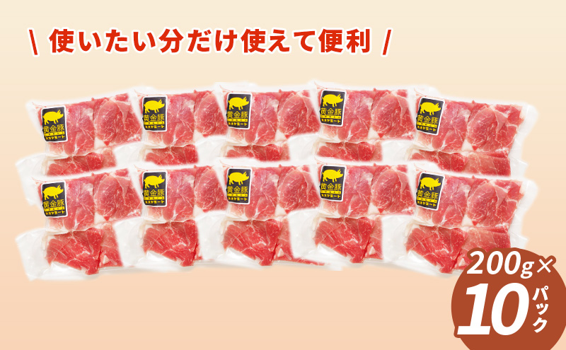 ＜3ヶ月連続お届け＞伊達黄金豚のジューシーな切り落とし肉 2kg【200g×10パック】三元豚  豚肉 ぶた肉 スライス 小間切れ 小分け 冷凍