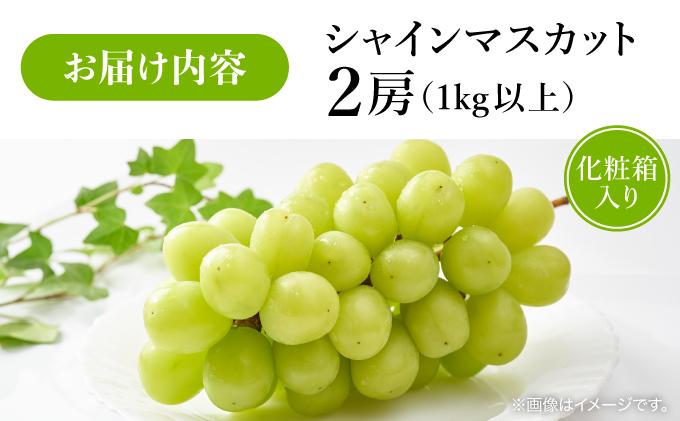 ＜先行予約＞シャインマスカット 2房（1kg以上）化粧箱入り