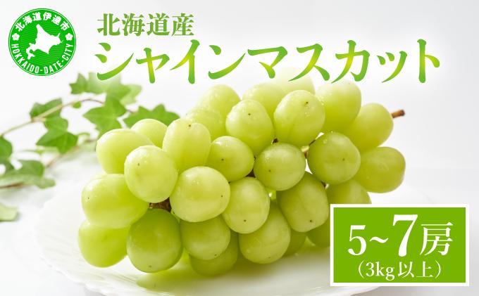 ＜先行予約＞シャインマスカット ５～7房（３kg以上）箱