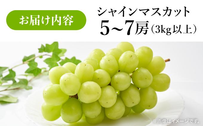 ＜先行予約＞シャインマスカット ５～7房（３kg以上）箱