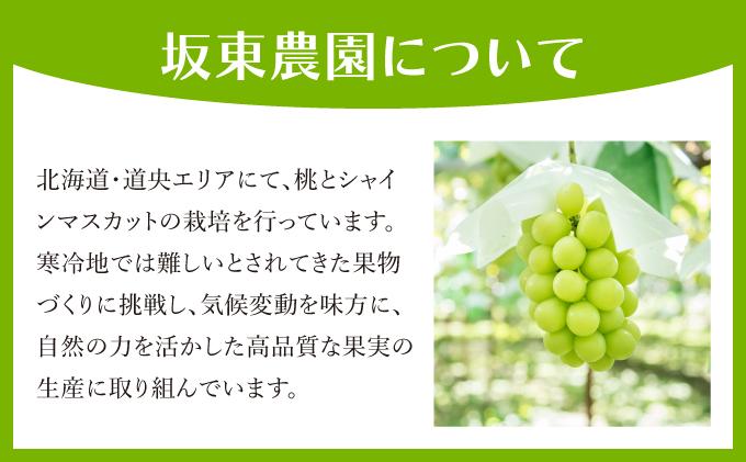 ＜先行予約＞シャインマスカット ５～7房（３kg以上）箱