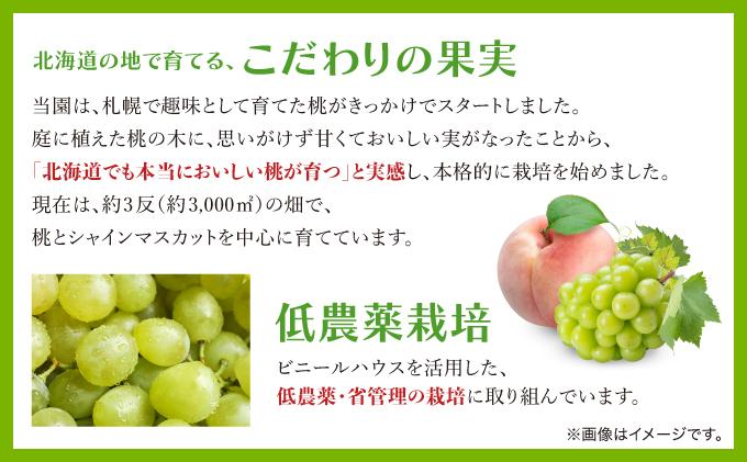 ＜先行予約＞シャインマスカット ５～7房（３kg以上）箱