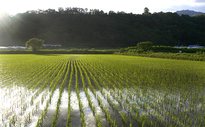 ◆ R6年産 ◆ JGAP認証【おぬきさん家のお米】2種食べ比べ計10kg≪北海道伊達産≫