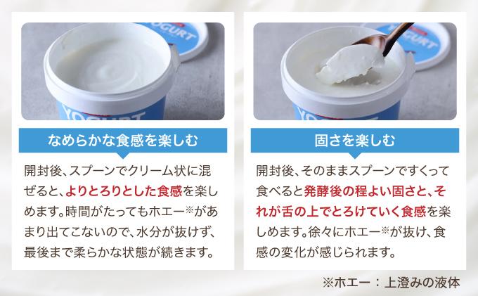 [5525-1206]北海道 牧家 Bocca ヨーグルト 500g 6個 計3.0kg 生乳 ミルク 練乳 濃厚 デザート スイーツ おやつ 乳製品 冷蔵