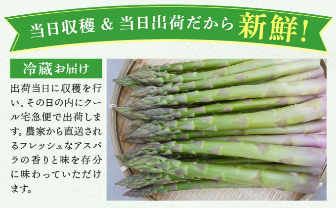 ã2026幎å
è¡äºçŽã倪ããŠããŸãŒã åæµ·éç£ æ¥èœ ã¢ã¹ãã© (çŽ1kgïŒLLäžå¿ïŒ3Lã»Læ··å) å
è¡äºçŽ æ°é®® æ¡ãããŠçŽé æ¬ éè ããã±ã 蟲家çŽé åæµ·é