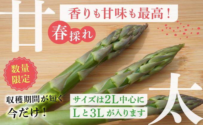 ã2026幎å
è¡äºçŽã倪ããŠããŸãŒã åæµ·éç£ æ¥èœ ã¢ã¹ãã© (çŽ1kgïŒLLäžå¿ïŒ3Lã»Læ··å) å
è¡äºçŽ æ°é®® æ¡ãããŠçŽé æ¬ éè ããã±ã 蟲家çŽé åæµ·é