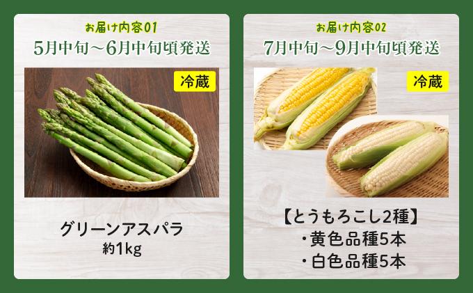 【先行予約】のぐち北湯沢ファームの年5回 定期便 グリーンアスパラ とうもろこし2種 野菜詰め合わせ やまいも ギフトセット 55251181