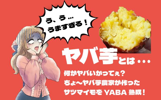 縲2026蟷エ3譛井サ・髯埼埼√醍┥縺崎葛 蜀キ蜃 繝、繝占葛シ医す繝ォ繧ッ繧ケ繧、繝シ繝茨シ500gテ5 險2.5kg