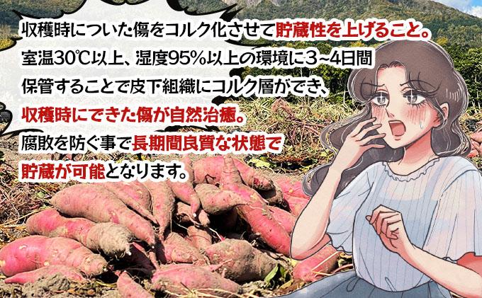 北海道 伊達 さつまいも シルクスイート 15kg 熟成 高糖度 サツマイモ 芋 甘い スイートヤバ芋 産地直送