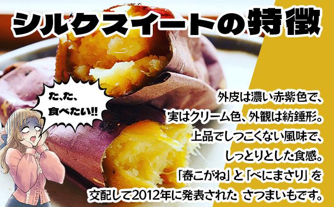 蛹玲オキ驕 莨企# 縺輔▽縺セ縺繧 繧キ繝ォ繧ッ繧ケ繧、繝シ繝 10kg 辭滓 鬮倡ウ門コヲ 繧オ繝繝槭う繝「 闃 逕倥> 繧ケ繧、繝シ繝医Ζ繝占葛 逕」蝨ー逶エ騾