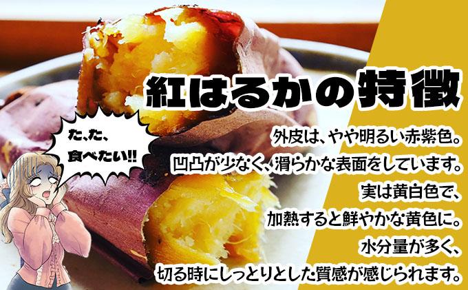 《高糖度》さつまいも 紅はるか 10kg 【産地直送】熟成 高糖度 サツマイモ 芋 甘い スイートヤバ芋 産地直送 北海道 伊達市