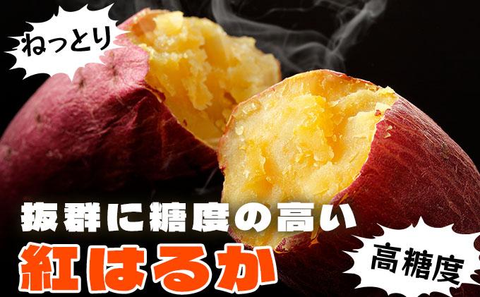 《高糖度》さつまいも 紅はるか 5kg 【産地直送】熟成 高糖度 サツマイモ 芋 甘い スイートヤバ芋 産地直送 北海道 伊達市