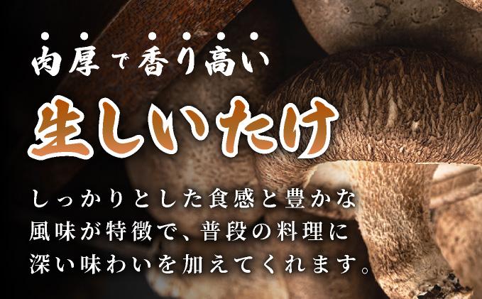 èš³ãã æ¹åãããã ç ãããã 1.5kg èŠæ Œå€ èš³ã¢ãª ãããã ã·ã€ã¿ã± æ€èž ãã®ã ããã³ ãã«ã·ãŒ æ é€ èå ãžã¥ãŒã·ãŒ ãã¬ãã·ã¥ åœç£ ç£å°çŽé ã¢ã¬ã³ãž BBQ ããŒããã¥ãŒ åæµ·é äŒéåžã蟲çŠé£æºã