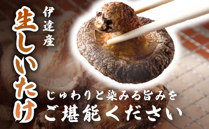 èš³ãã æ¹åãããã ç ãããã 1.5kg èŠæ Œå€ èš³ã¢ãª ãããã ã·ã€ã¿ã± æ€èž ãã®ã ããã³ ãã«ã·ãŒ æ é€ èå ãžã¥ãŒã·ãŒ ãã¬ãã·ã¥ åœç£ ç£å°çŽé ã¢ã¬ã³ãž BBQ ããŒããã¥ãŒ åæµ·é äŒéåžã蟲çŠé£æºã