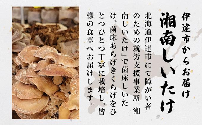 湘南しいたけ 生 きくらげ 500g きくらげ 木耳 キクラゲ 生 ぷりぷり プリプリ こりこり コリコリ 栄養 ヘルシー ダイエット 中華  アレンジ スープ サラダ 新鮮 きのこ キノコ 弾力【農福連携】