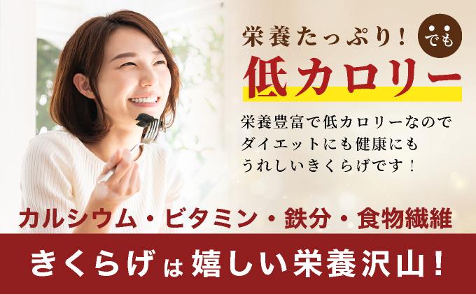 湘南しいたけ 生 きくらげ 500g きくらげ 木耳 キクラゲ 生 ぷりぷり プリプリ こりこり コリコリ 栄養 ヘルシー ダイエット 中華  アレンジ スープ サラダ 新鮮 きのこ キノコ 弾力【農福連携】