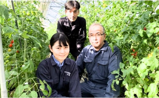 螟ァ雎 縺阪↑邊 5陲 100gテ5 蜷郁ィ 500g 邊画忰 繧縺阪@縺壹° 蛹玲オキ驕 莨企# 縺ョ縺舌■蛹玲ケッ豐「繝輔ぃ繝シ繝