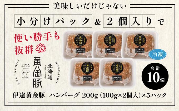 北海道 伊達 黄金豚 ハンバーグ 100g×10個（計1kg） 小分け 真空 お肉 豚肉