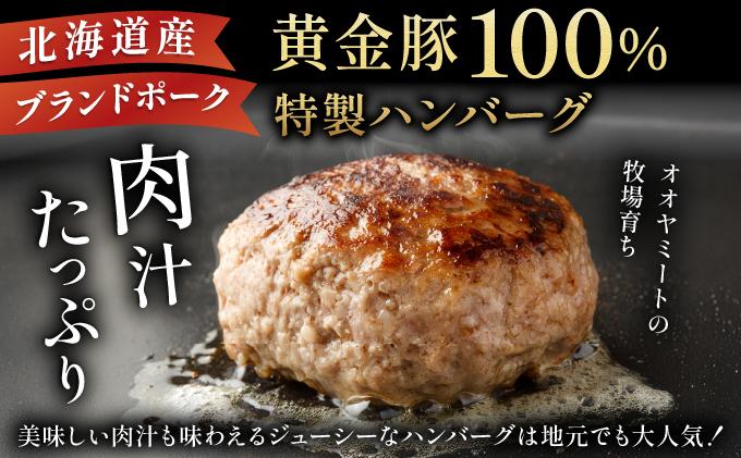 北海道 伊達 黄金豚 ハンバーグ 100g×10個（計1kg） 小分け 真空 お肉 豚肉