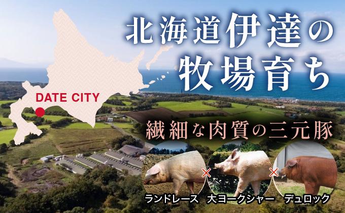 北海道 伊達 黄金豚 ヒレカツ用 120g×3パック（計360g）小分け 真空 お肉 豚肉 ひれかつ