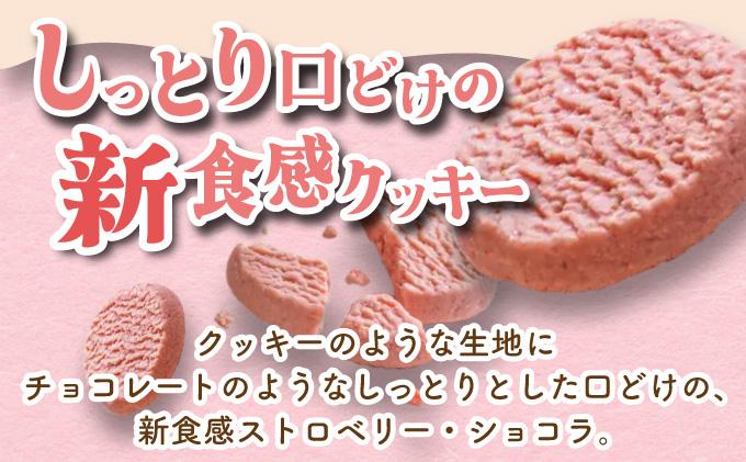 北海道産 ストロベリー ショコラ クッキー 40個 森のおくりもの 菓子 焼菓子 クッキー 苺 ストロベリー すずあかね お菓子 おやつ スイーツ デザート 規格外 常温 送料無料