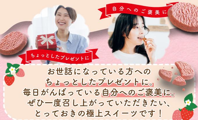北海道産 ストロベリー ショコラ クッキー 40個 森のおくりもの 菓子 焼菓子 クッキー 苺 ストロベリー すずあかね お菓子 おやつ スイーツ デザート 規格外 常温 送料無料