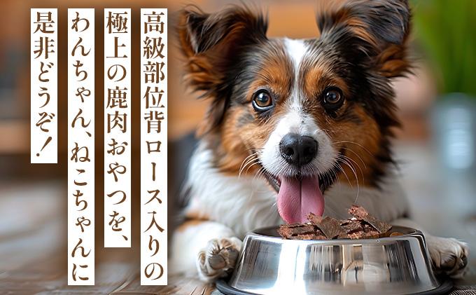 北海道エゾシカジャーキー50g×2袋 北海道産 国産 無添加 犬用ジャーキー 犬のおやつ 猫用ジャーキー 猫のおやつ ペットフード 鹿肉ジャーキー