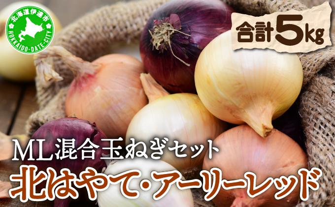 【 2026年 発送 】 先行予約 北海道 玉ねぎ 各2.5kg (計約5kg) M-L混合 北はやて アーリーレッド【55251005】タマネギ たまねぎ 玉葱 玉ネギ レッドオニオン オニオン 伊達野菜  野菜 新鮮 採れたて 産地直送 木須農園 送料無料
