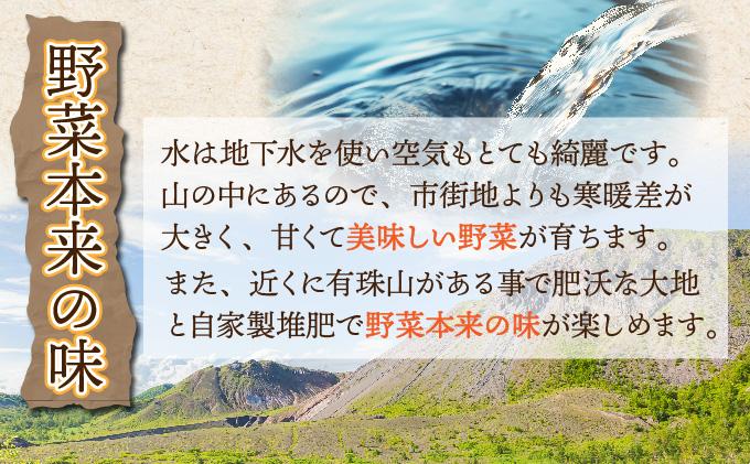 【 2026年 発送 】 先行予約 北海道 じゃがいも 玉ねぎ 各5kg(計10kg) M-L混合 北あかり【55251003】キタアカリ 黄金男爵 ジャガイモ じゃが芋 馬鈴薯 タマネギ たまねぎ 玉葱 玉ネギ オニオン 伊達野菜  野菜 産地直送 木須農園 送料無料