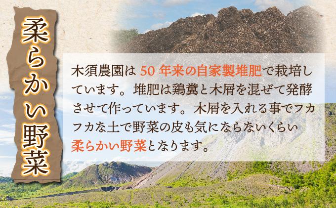 【 2026年 発送 】 先行予約 北海道 じゃがいも 玉ねぎ 各5kg(計10kg) M-L混合 北あかり【55251003】キタアカリ 黄金男爵 ジャガイモ じゃが芋 馬鈴薯 タマネギ たまねぎ 玉葱 玉ネギ オニオン 伊達野菜  野菜 産地直送 木須農園 送料無料