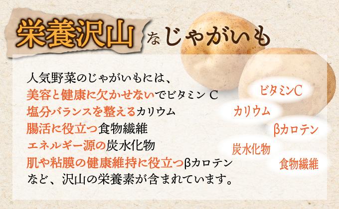 【 2026年 発送 】 先行予約 北海道 じゃがいも 玉ねぎ 各5kg(計10kg) M-L混合 北あかり【55251003】キタアカリ 黄金男爵 ジャガイモ じゃが芋 馬鈴薯 タマネギ たまねぎ 玉葱 玉ネギ オニオン 伊達野菜  野菜 産地直送 木須農園 送料無料